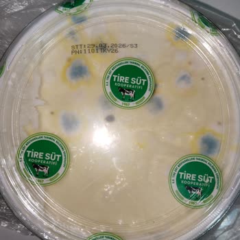 Açılmamış Folyo Ve Yoğurtta Gözle Görülebilir Küflenme