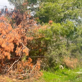 Türk Telekom Altyapı Arızasını 6 Aydır Görmezden Geliyor