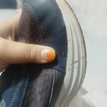 Ninova FLO Ayakkabısında Yırtılma Ve Taban Açılması Nedeniyle Değişim Talebi