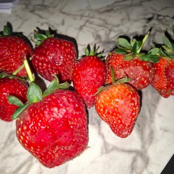 Migros Hemen'de Çürük Çilek Teslimatı Ve Kalite Kontrol İhmali