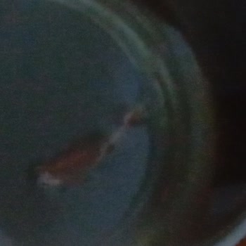 Çocuk Macununda Ambalaj Parçası Çıktı: Güvenlik Endişesi Ve Açıklama İsteği