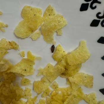 Lays Cipsinde Böcek Bulunması Şok Ve Güven Sarsıntısı