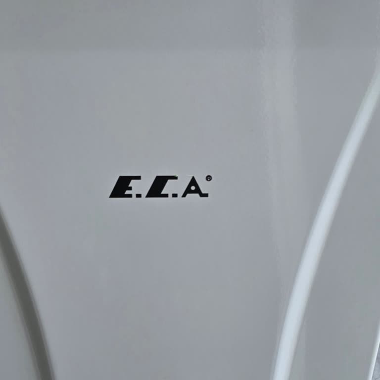 ECA Şofbenin Sürekli Ana Kart Arızaları Ve 7 Bin Liraya Çıkan Servis Masrafı