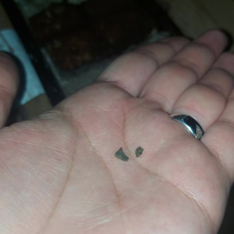 Fıstıklı Soğuk Baklavada Yabancı Madde Çıktı Ve Dişim Ağrıyor