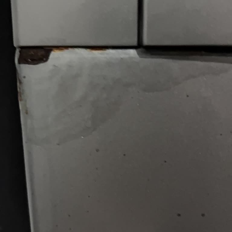 Arçelik Çamaşır Makinesinde Paslanma Ve Boya Atması