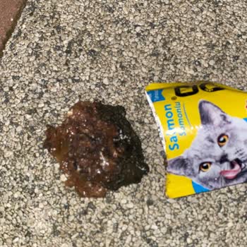 Bimama Kötü Kokulu Mamalar