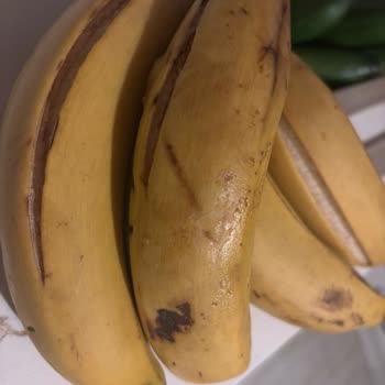 Muzların Ezilmiş Ve Patlamış Gelmesi Üzerine İade Talebi