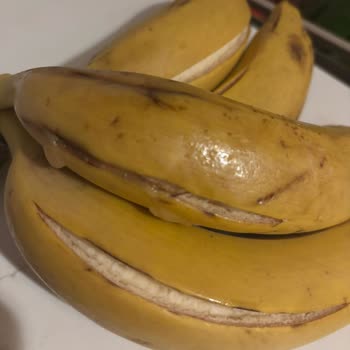 Muzların Ezilmiş Ve Patlamış Gelmesi Üzerine İade Talebi