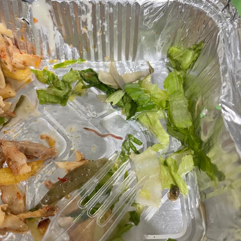 Döner Siparişinde Canlı Solucan Keşfi Ve Hijyen İhlali