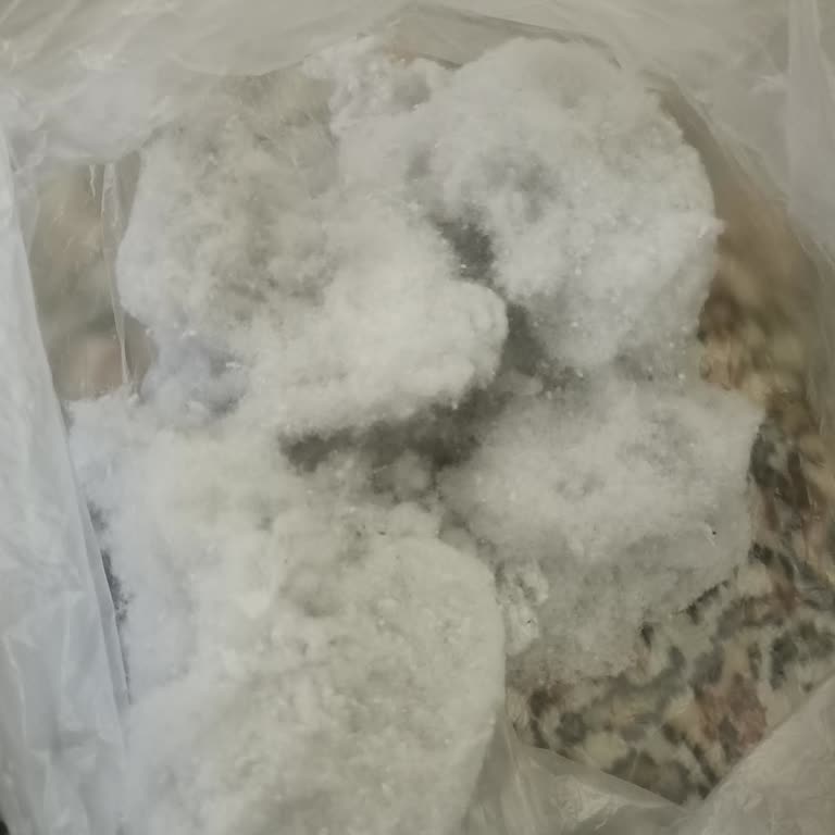 Tedi Havlular Yıkamada Tüylenip Parçalandı, Mağaza İadeyi Reddetti