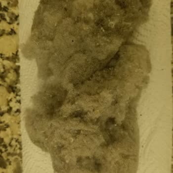 Tedi Havlular Yıkamada Tüylenip Parçalandı, Mağaza İadeyi Reddetti