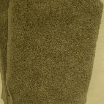 Tedi Havlular Yıkamada Tüylenip Parçalandı, Mağaza İadeyi Reddetti