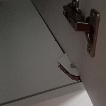 Dolabım Vida Yerleri Aşınarak Dağıldı, Ücretsiz Onarım İstiyorum