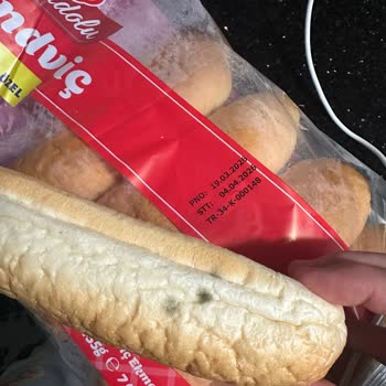 Şok Market Pınarhisar Şubesinde Küflü Sandviç Ekmeği Satışı