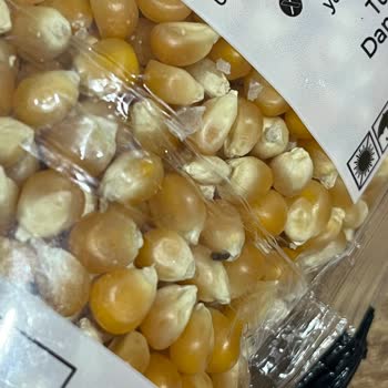 Yayla Patlayan Mısır İçinde Böcek Ve Hijyen Sorunu