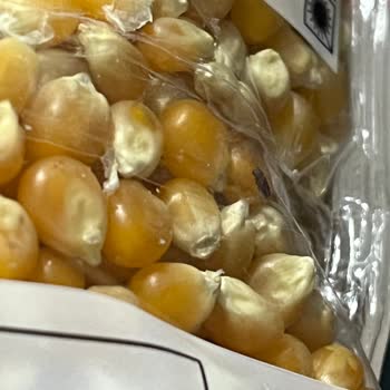 Yayla Patlayan Mısır İçinde Böcek Ve Hijyen Sorunu