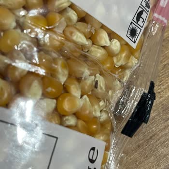 Yayla Patlayan Mısır İçinde Böcek Ve Hijyen Sorunu