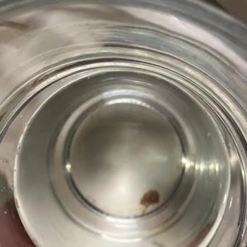 Taşkesti Su İçinden Çıkanları Gördüğümüzde, Gözlerimize İnanamadık