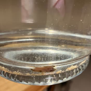 Taşkesti Su İçinden Çıkanları Gördüğümüzde, Gözlerimize İnanamadık