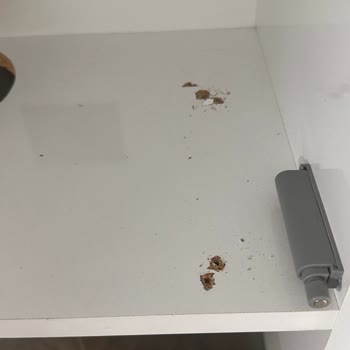 Beko Aspiratör Montajı Sırasında Dolap Hasarı Ve Tazmin Talebi