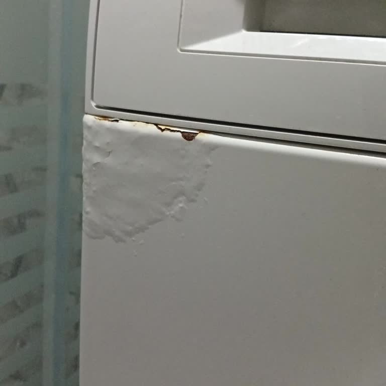 Bosch Çamaşır Makinesinde Deterjan Haznesi Paslanması Ve Ücretli Değişim Şikayeti