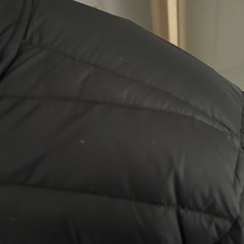 The North Face Jacket Defect Causes Insulation to Leak After 6 Months