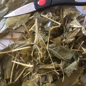 @naturellsalamur Instagram'dan Aldığım Kalitesiz Salamura Yaprağı İçin İade Talebim Geri Çevrilmedi