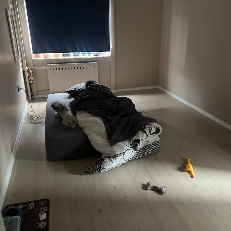 Acil Teslimat Talebi Ve Yaşadığımız Mağduriyet