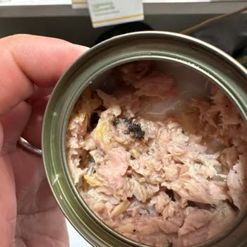 Küflü Balık Konservesi Sağlık Riski Ve Güven Kayıpları