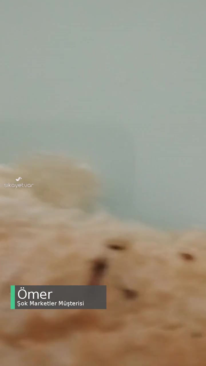 Şok Marketler Sağlıksız Ekmek Üretimi Satışı! videonun kapak resmi