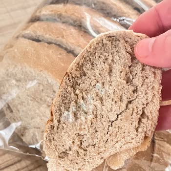 Şok Şubesinde Küflü Ekmek Satışı