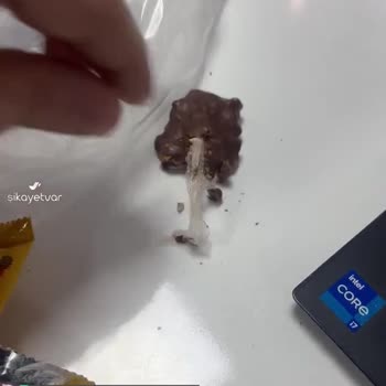 Eti Canga Markalı Üründen Plastik Çıkması
