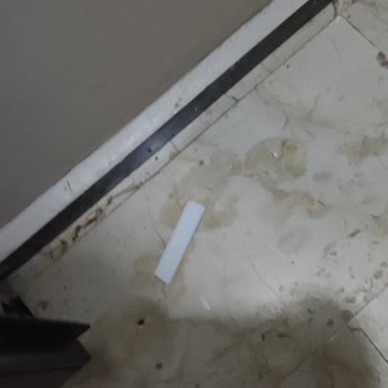 Türk Telekom Ekipleri Binada Çöp Bıraktı, Temizlik Ve Önlem Talebi