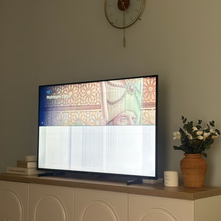 Vestel TV'de 10 Ayda Panel Arızası Ve Garanti Çelişkisi