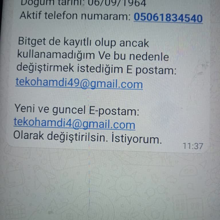 Bitget Hesabım Erişilemiyor Ve E-posta Güncellemesi Cevapsız
