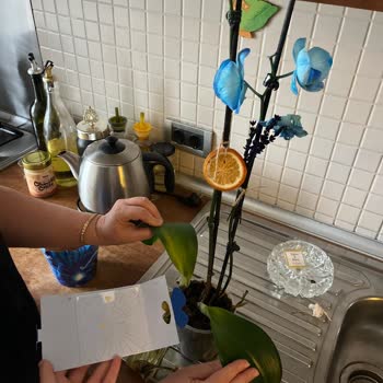 Orkide Kısa Sürede Çürüdü Ve Ücretsiz Değişim Talebim