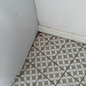 Ece Suit | Büyükada Kapasite Yanıltması, Hijyen Sorunu Ve Haksız Ücret Talebi