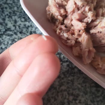 Migros Ton Balığı Konservelerinde Kılçık Sorunu Gıda Güvenliğini Tehdit Ediyor