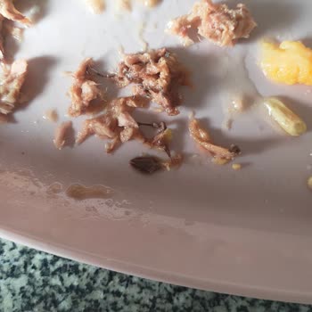 Migros Ton Balığı Konservelerinde Kılçık Sorunu Gıda Güvenliğini Tehdit Ediyor