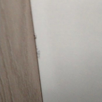 Gardıropta Sürekli Kırıklar Ve Hızlı Tam Değişim Talebi