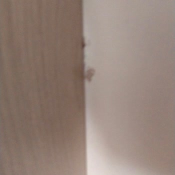 Gardıropta Sürekli Kırıklar Ve Hızlı Tam Değişim Talebi