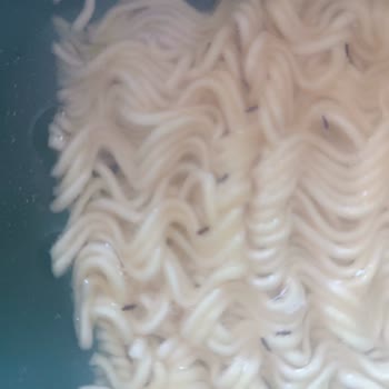 İndomie Noodle Paketinde Böcek Tespiti