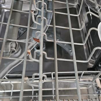 Samsung Bulaşık Makinesinde Garanti Süresince Paslanma Ve Ücretsiz Parça Değişimi Talebi