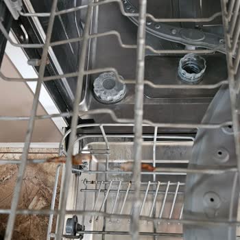 Samsung Bulaşık Makinesinde Garanti Süresince Paslanma Ve Ücretsiz Parça Değişimi Talebi