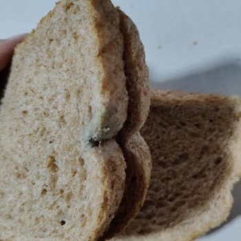 Küflü Tava Ekmeği Nedeniyle Sağlık Endişesi Ve İade Talebi