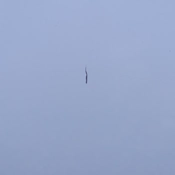 Uğur Derin Dondurucunun Çizikli Gövdesi Ve Aşırı Gürültüsü Nedeniyle Ayıplı Ürün İadesi Talebi