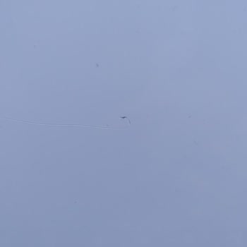 Uğur Derin Dondurucunun Çizikli Gövdesi Ve Aşırı Gürültüsü Nedeniyle Ayıplı Ürün İadesi Talebi