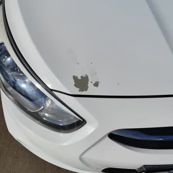 Hyundai Accent Kaput Boya Atması Sorunu, Garanti Kapsamı Talebi