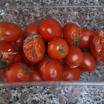 Yemeksepeti Market Domateslerim Çürük Geldi!