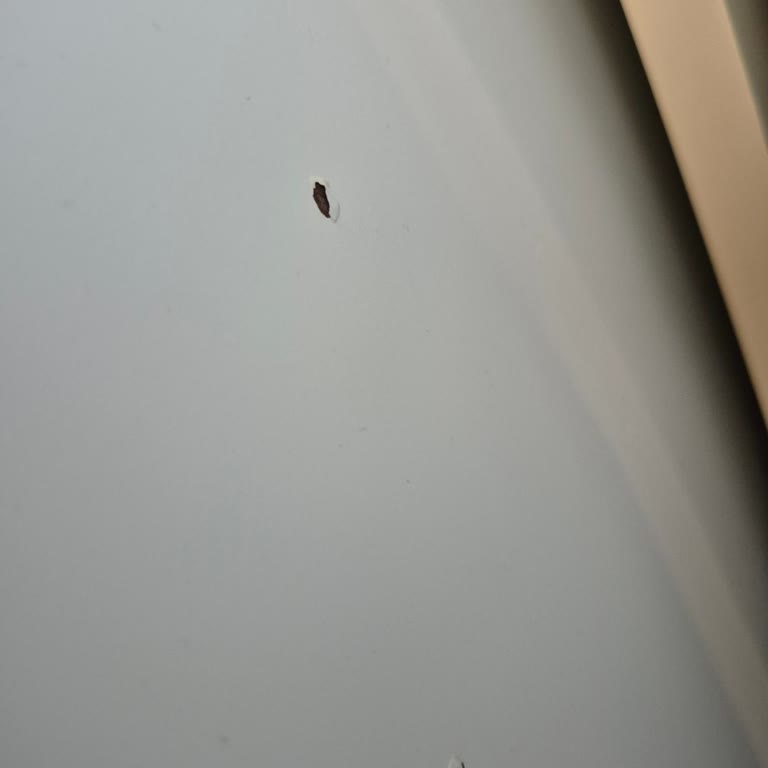 Siemens Buzdolabındaki Paslanma Üretim Hatası Şikayeti